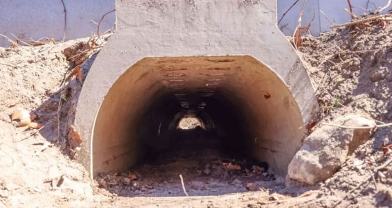 rahatca ciftlessinler diye ozel alt gecit insa edildi X2f2KUZ5