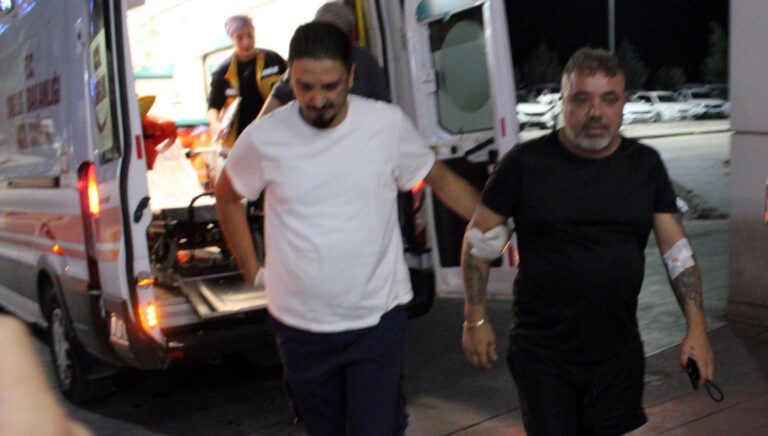 yan baktin tartismasinda kan akti gfnklabV