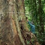 degisen havalar dengeyi bozdu dev gibi oldular buyumesi durmuyor 8OfglnwE