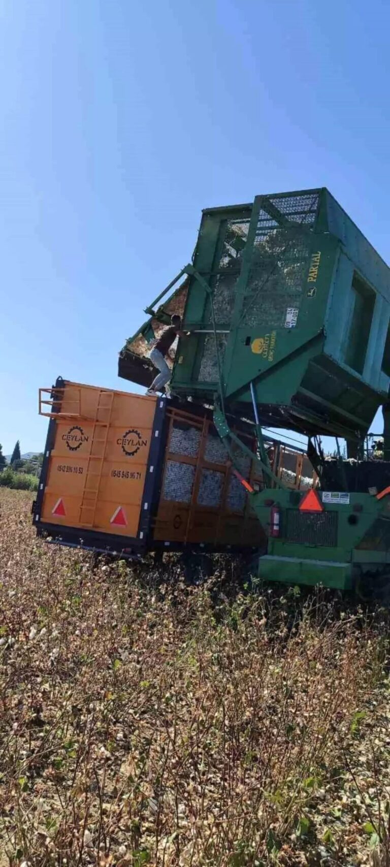 didimde pamuk hasat kontrolleri basladi ceH6DEUO