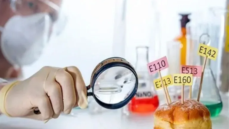 gidalarda kac cesit katki maddesi oldugunu biliyor muydunuz ynBaP3bP.webp