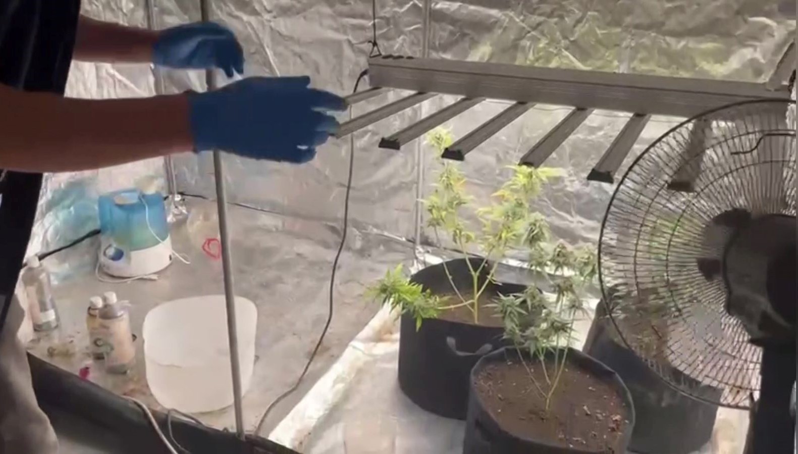 malatyada kilolarca kenevir ele gecirildi l9gwjIn4