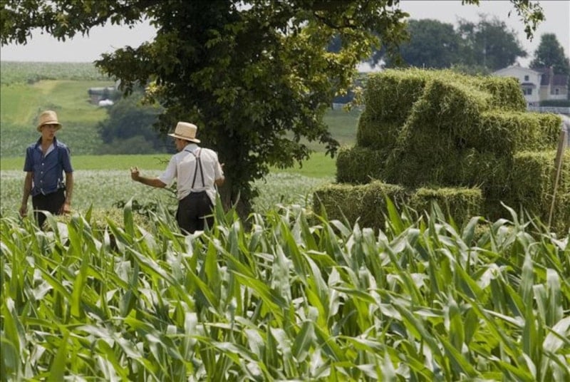 ABD’de Tarım Dışı Verimliliğin Yüzde 1,8 Arttığı Açıklandı