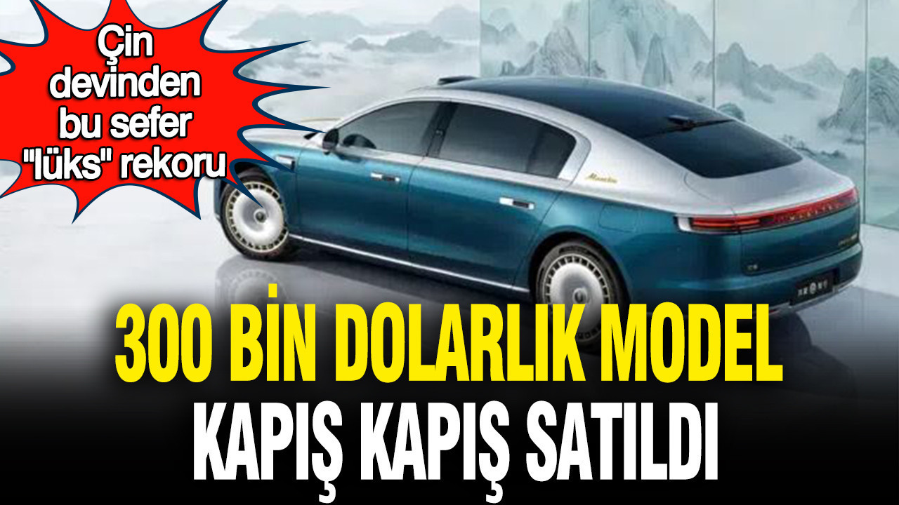 cin-devinden-bu-sefer-luks-rekoru-300-bin-dolarlik-model-kapis-kapis-satildi-fth8Z9lF