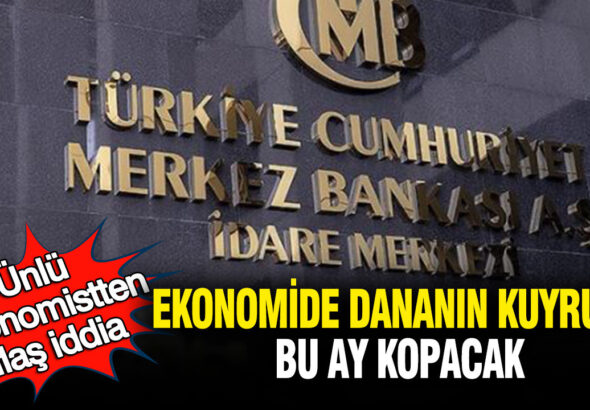 unlu-ekonomistten-flas-iddia-ekonomide-dananin-kuyrugu-bu-ay-kopacak-2pDTHJRv